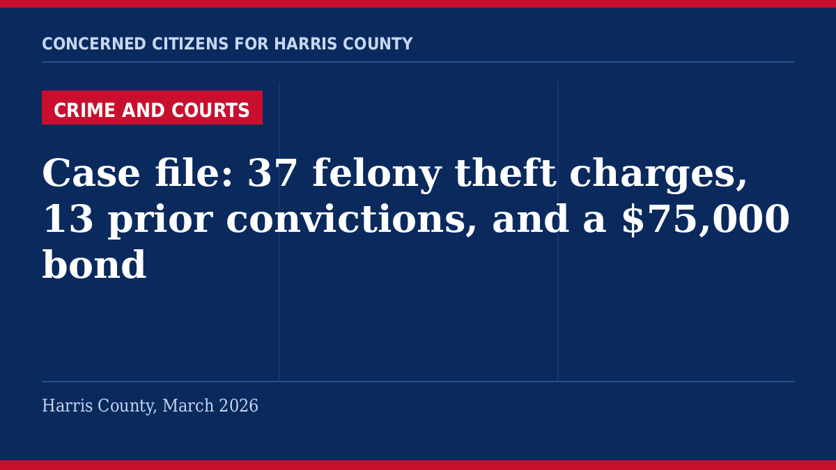 Harris County bond case file - Concerned Citizens for Harris County